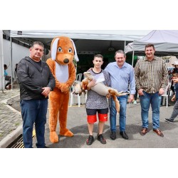 Mutirão de castração de cães e gatos foi realizado em Balsa Nova